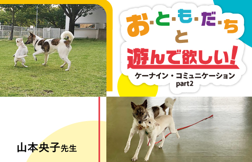 お と も だ ちと遊んで欲しい ケーナイン コミュニケーション Part 2 動物医療関係者のセミナーサイト ペピイセミナー Peppyseminar
